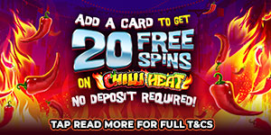 Free Spins Just Add Card